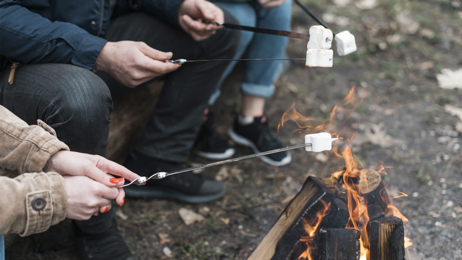 toasting marshmallows over the fire